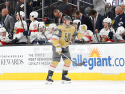 Panthers Golden Knights Hockey