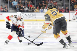 Panthers Golden Knights Hockey