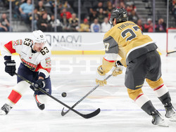 Panthers Golden Knights Hockey