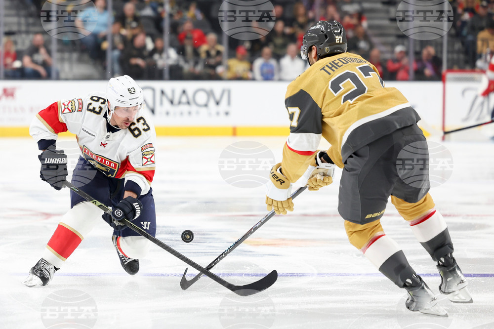 Panthers Golden Knights Hockey