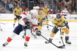 Panthers Golden Knights Hockey