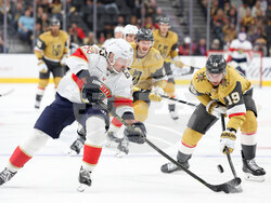 Panthers Golden Knights Hockey