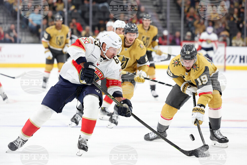 Panthers Golden Knights Hockey