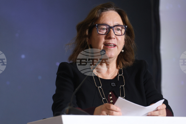 Special Representative on Democracy and Rule of Law Schulerud: Without a Civil Society, Democracy Becomes an Empty Shell