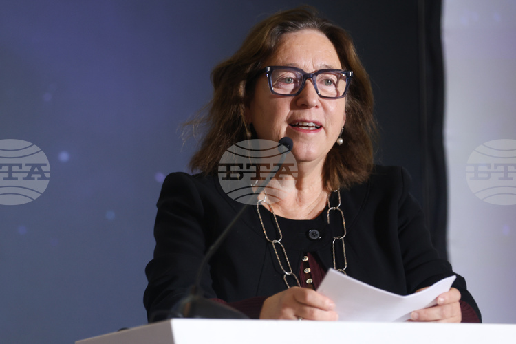 Special Representative on Democracy and Rule of Law Schulerud: Without a Civil Society, Democracy Becomes an Empty Shell