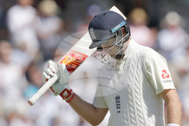 Cricket Ashes-Root Reception