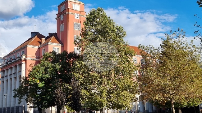 Плевен се включва в Дните на японската култура с творчески работилници, презентации и изяви на ученици