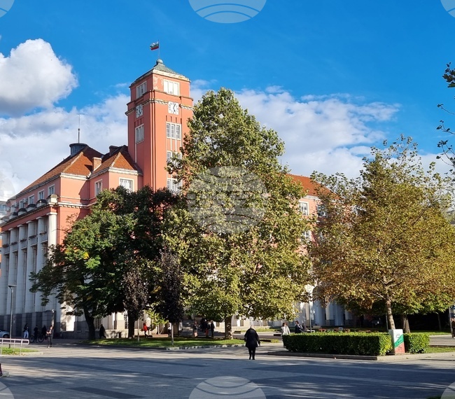 Плевен се включва в Дните на японската култура с творчески работилници, презентации и изяви на ученици