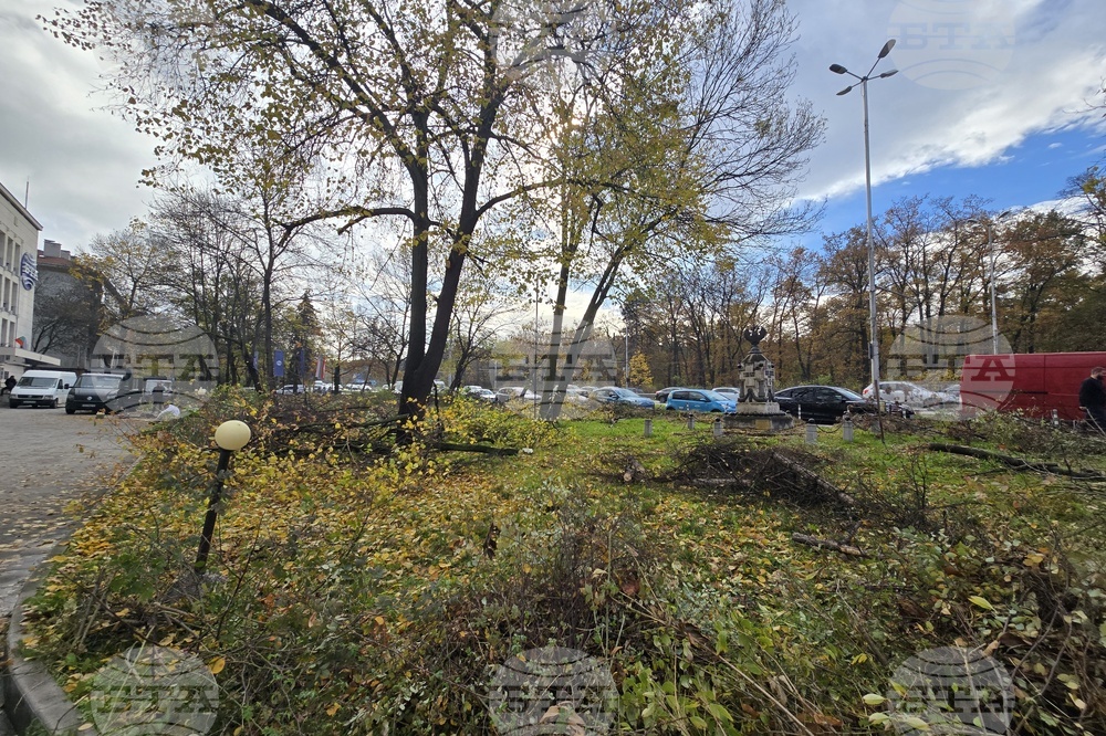 Българска телеграфна агенция - пространство - почистване