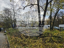 Българска телеграфна агенция - пространство - почистване