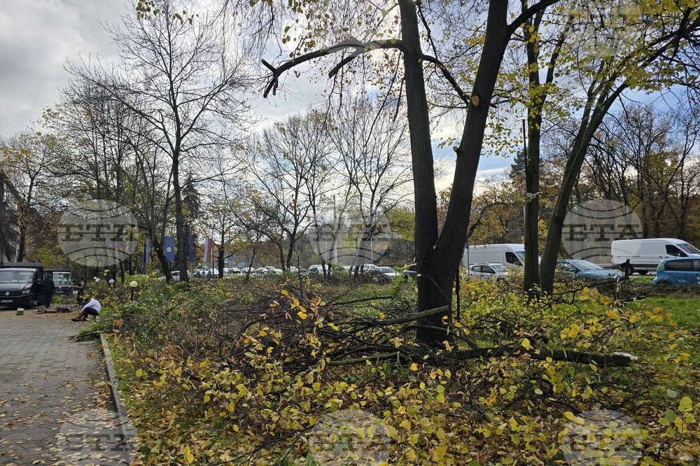 Българска телеграфна агенция - пространство - почистване