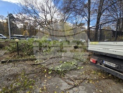 Българска телеграфна агенция - пространство - почистване