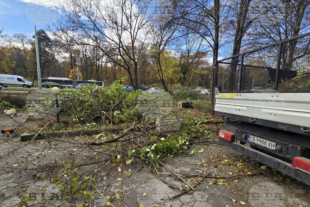 Българска телеграфна агенция - пространство - почистване