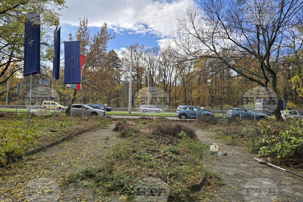 Българска телеграфна агенция - пространство - почистване