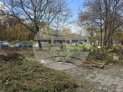 Българска телеграфна агенция - пространство - почистване