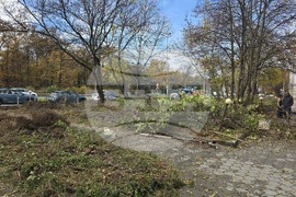 Българска телеграфна агенция - пространство - почистване