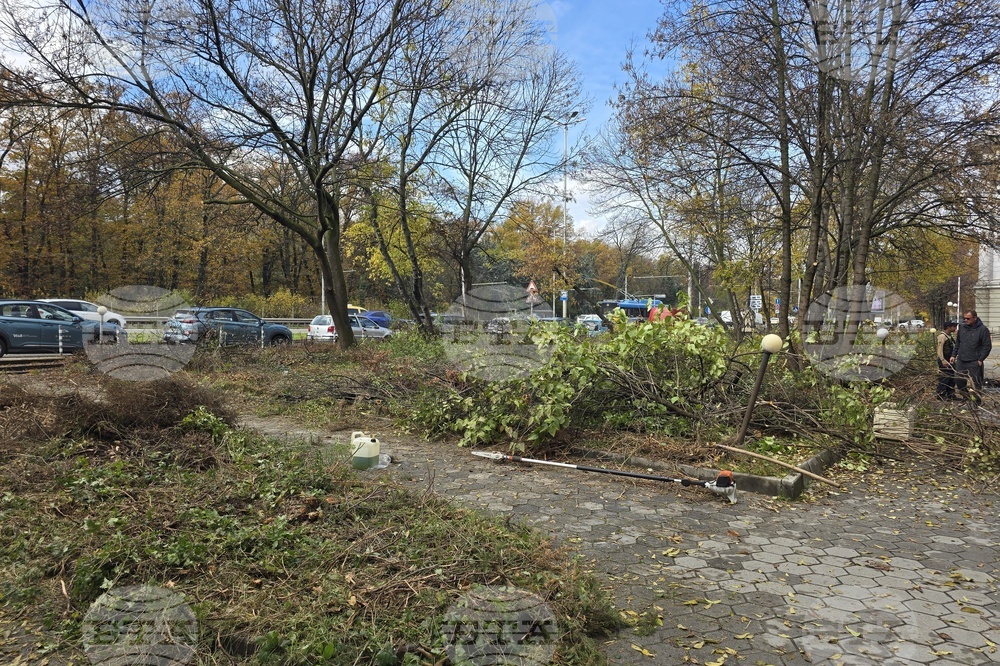 Българска телеграфна агенция - пространство - почистване