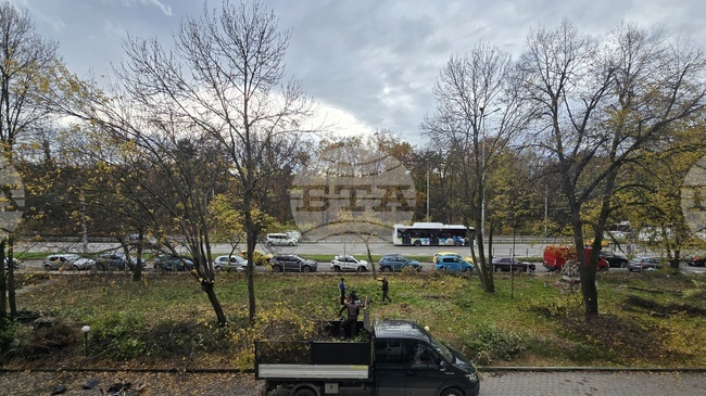 В подготовка за зимата столичната дирекция „Зелена система“ почисти суха растителност пред сградата на БТА