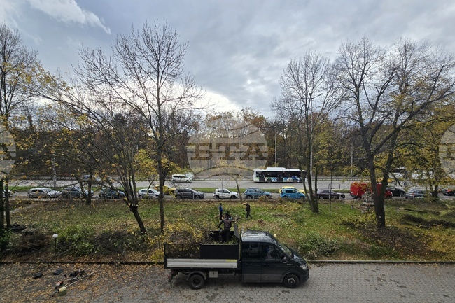 В подготовка за зимата столичната дирекция „Зелена система“ почисти суха растителност пред сградата на БТА