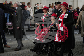 Belgium Europe Armistice Day