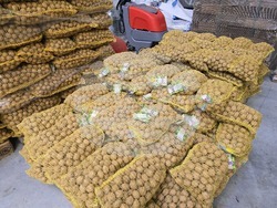 Свищов - "Сортови семена Елит 2001" ЕООД - Избирам България