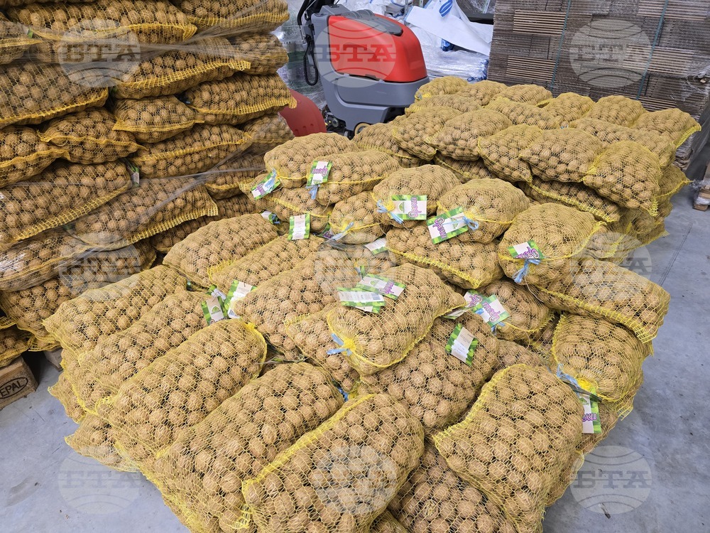 Свищов - "Сортови семена Елит 2001" ЕООД - Избирам България