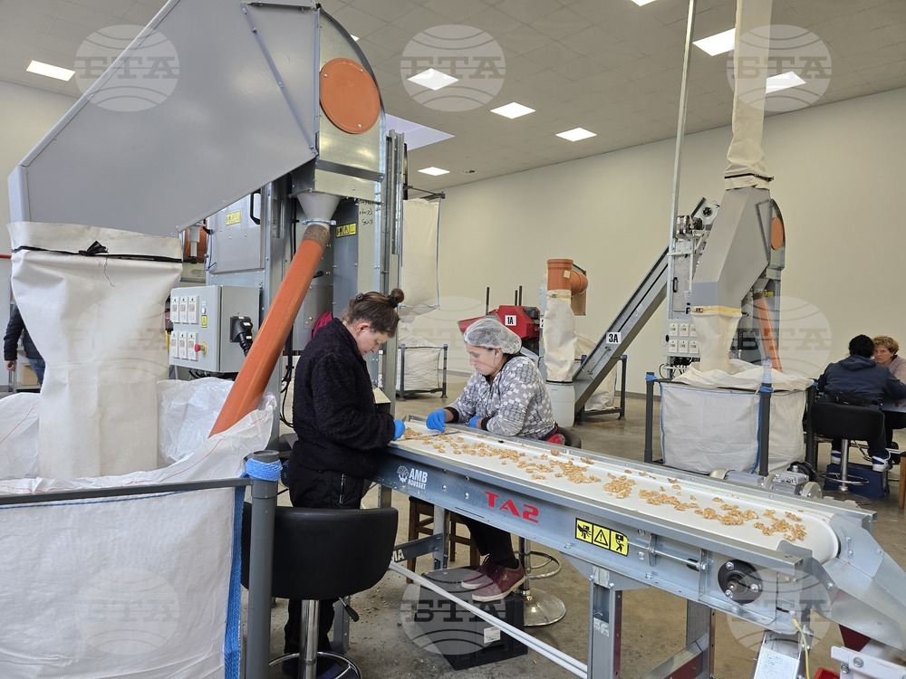 Свищов - "Сортови семена Елит 2001" ЕООД - Избирам България