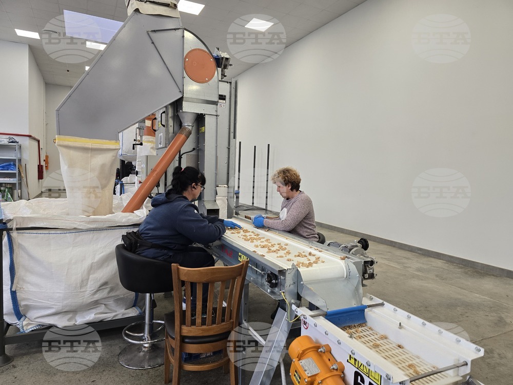 Свищов - "Сортови семена Елит 2001" ЕООД - Избирам България