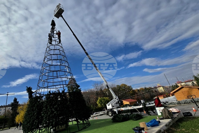 Коледна украса - НДК- монтаж