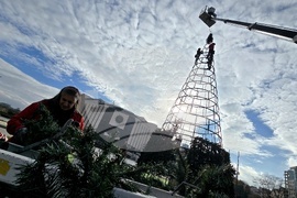 Коледна украса - НДК- монтаж