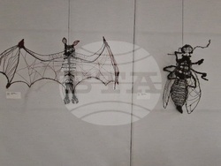 Троян - студенти от НХА - изложба