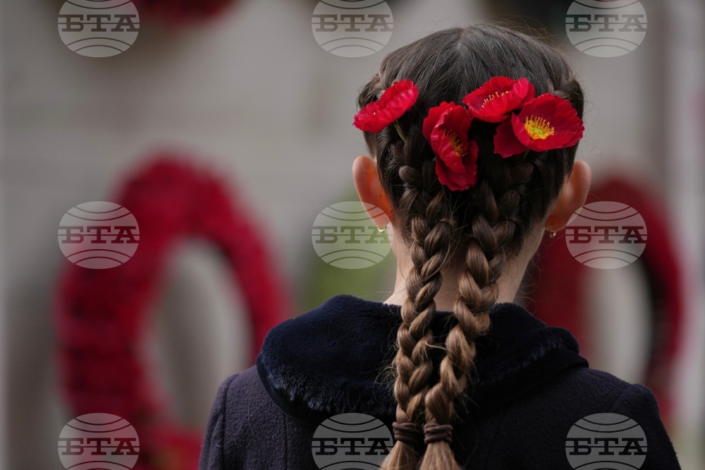 Britain Armistice Day