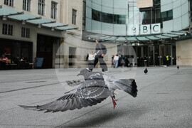 Britain BBC