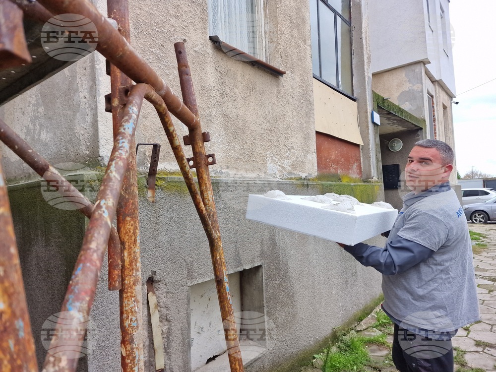 Димитровград - проект - саниране