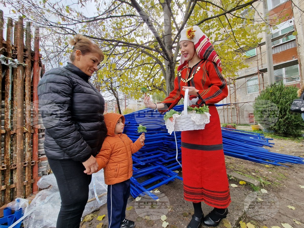 Димитровград - проект - саниране