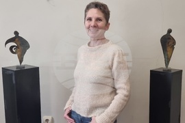 Плевен - изложба - Къща на художниците