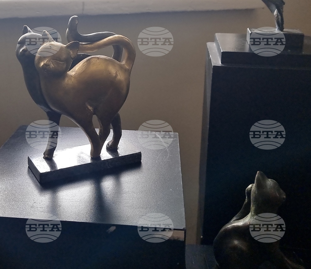 Плевен - изложба - Къща на художниците