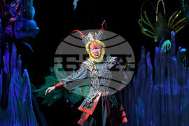 Opera - The Monkey King