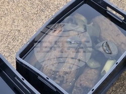 Созопол - Център за подводна археология - статут от ЮНЕСКО