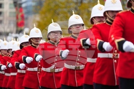 Canada Remembrance Day