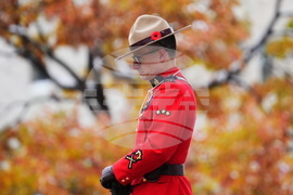 Canada Remembrance Day