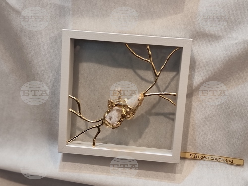 Ямбол - изложба на Антония Котева - откриване