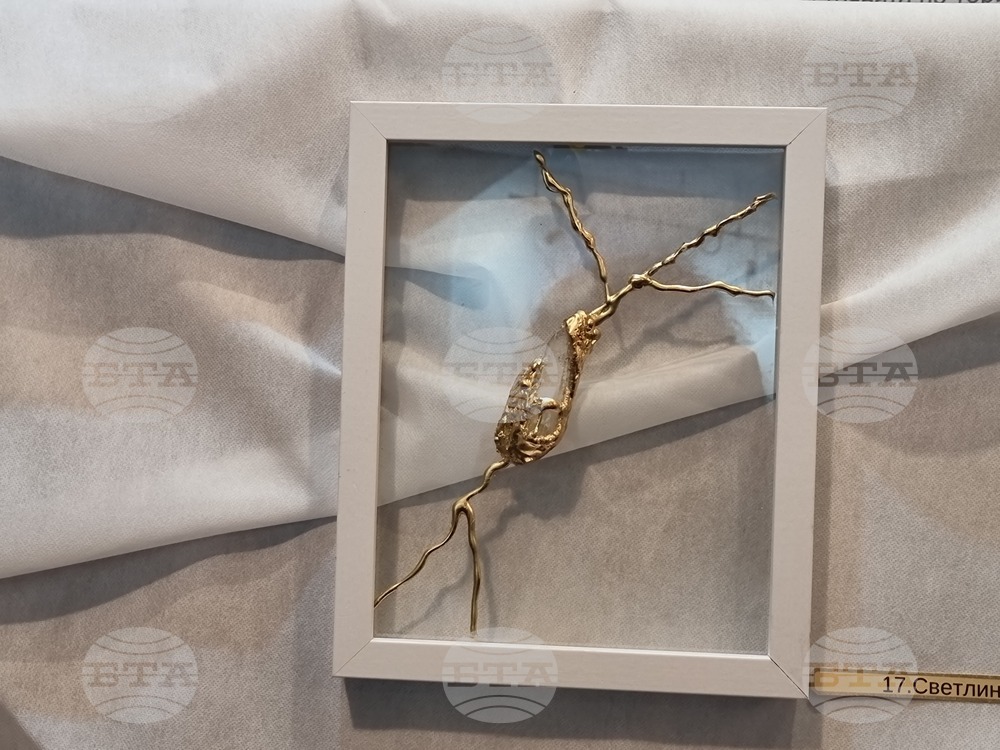 Ямбол - изложба на Антония Котева - откриване