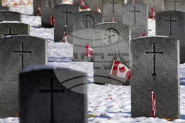 Canada Remembrance Day