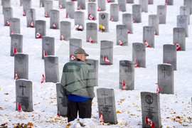 Canada Remembrance Day