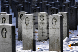 Canada Remembrance Day