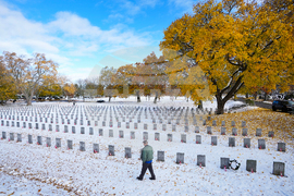 Canada Remembrance Day