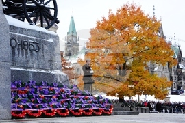 Canada Remberance Day
