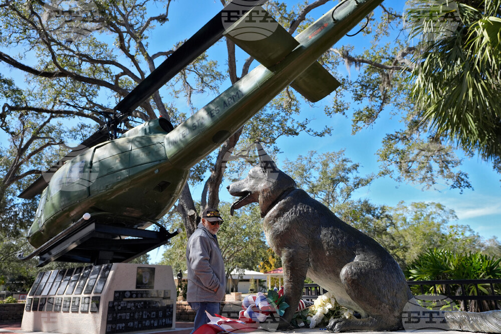 Veterans Day Florida
