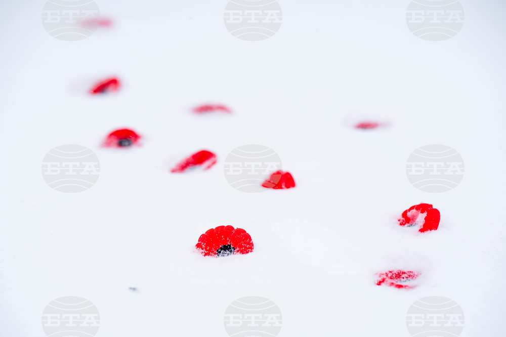 Canada Remembrance Day